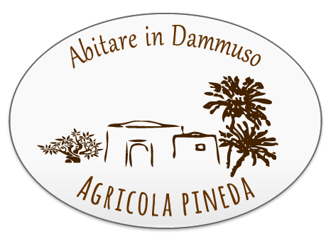 Agriturismo Pineda